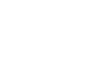 6t30 - Home Page - Icon - White_Expert Fractional Services