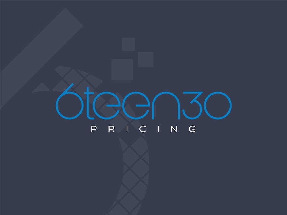 6teen30 Digital Growth Agency - Pricing