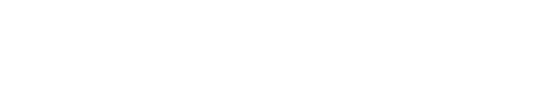 6t30 - Product logos - Convergent_Plus